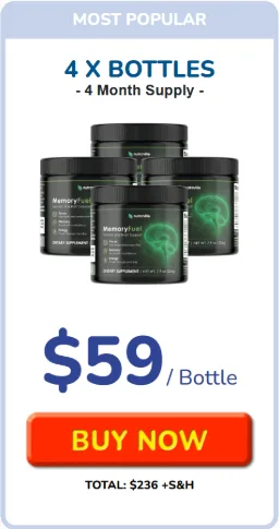 MemoryFuel 4 bottles